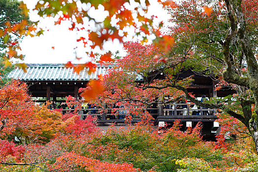 日本京都东福寺