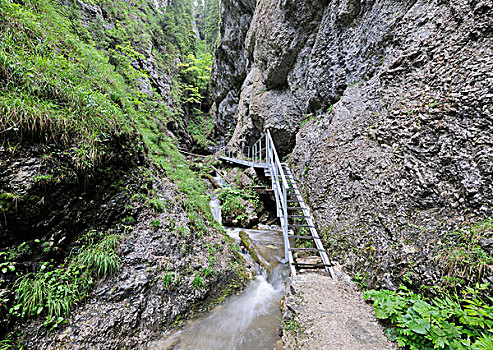 台阶,溪谷,国家公园,斯洛伐克,欧洲