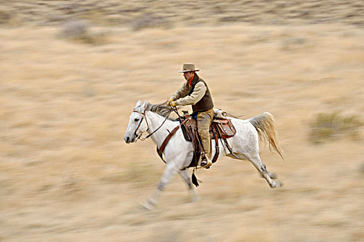 动感,牛仔,骑马,驰骋,荒野,落基山脉,怀俄明,美国
