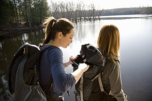 两个女人,远足,旁侧,湖