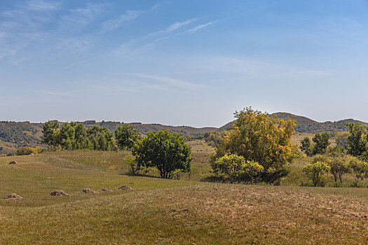 内蒙古大草原,秋季,风光