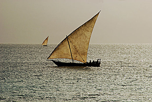 坦桑尼亚,桑给巴尔岛,传统,帆船,青绿色,印度洋,风暴,进入,背景
