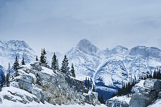 落基山脉,冬天,艾伯塔省,加拿大