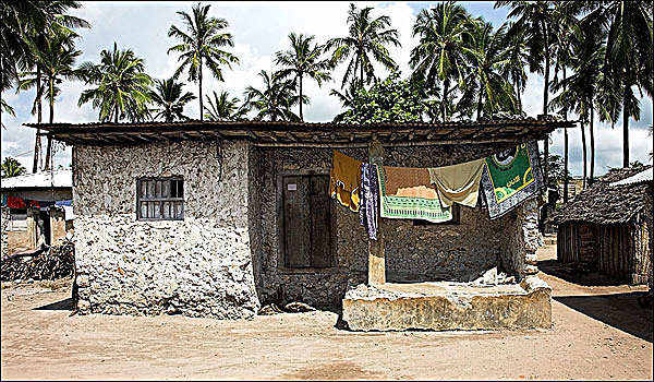 乡村,小屋,桑给巴尔岛,非洲
