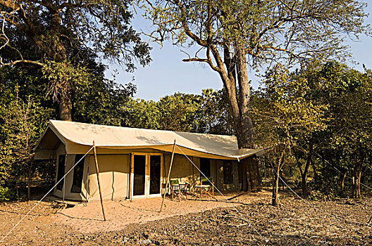 露营,南卢安瓜国家公园,赞比亚,非洲