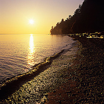 日落,秘密,海滩,阳光,海岸,不列颠哥伦比亚省,加拿大