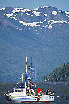 测验,渔业,河,靠近,王子,不列颠哥伦比亚省,加拿大