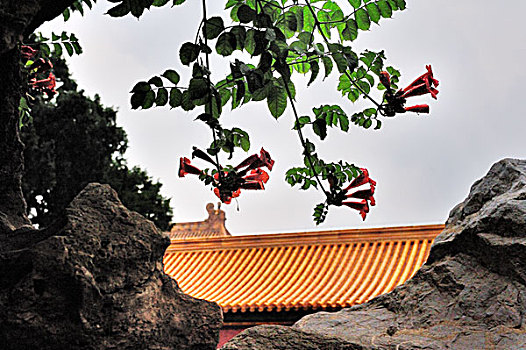 故宫,御花园,堆秀山