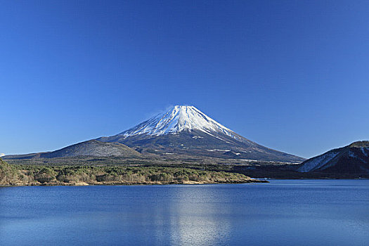 山,富士山,冬天