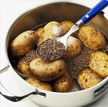 烹调,苋蒿,土豆