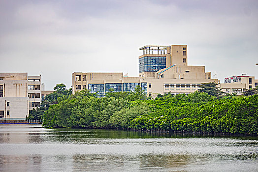 海南大学