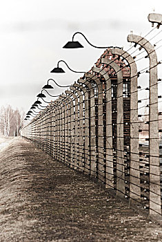 集中营,奥斯威辛,波兰