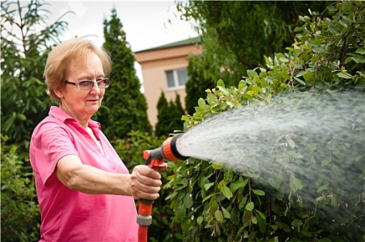老年,女人,浇水,花园