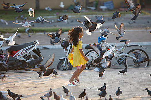 柬埔寨,金边,女孩,鸽子
