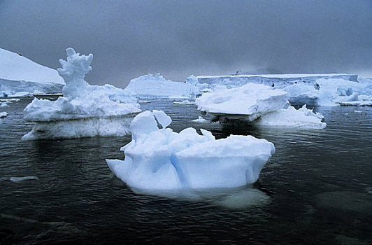 南极,天堂湾,冰