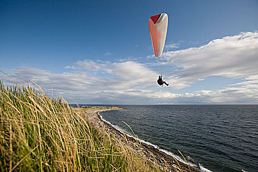 滑伞运动,西部,海岸,三叶草,维多利亚,温哥华岛,不列颠哥伦比亚省,加拿大