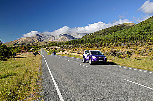 兩個,汽車,駕駛,道路,左邊,南島,新西蘭,大洋洲