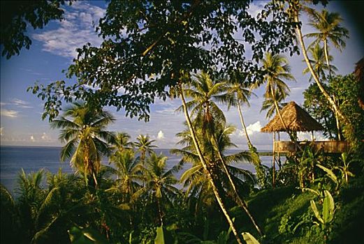 密克罗尼西亚,岛屿,密克罗尼西亚群岛,小屋,围绕,棕榈树,远眺,海洋