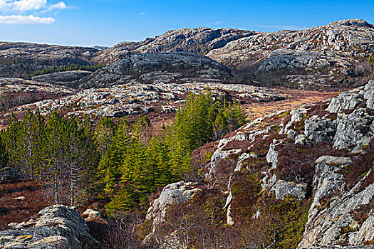 挪威,山,风景,绿色,树,岩石上