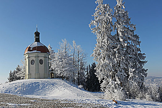 小教堂,冬天,靠近,德国地名,巴伐利亚,德国,欧洲