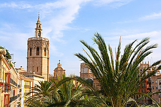 瓦伦西亚,历史,市区,大教堂,西班牙