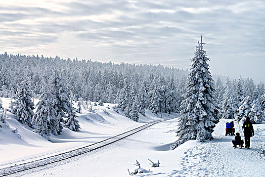 冬季风景,新,哈尔茨山,萨克森安哈尔特,德国