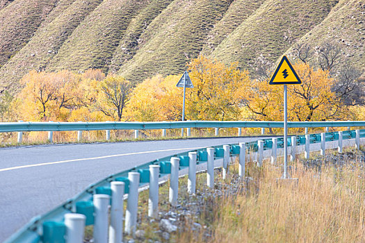深秋,新疆独库公路库车河谷路段的弯道边长满了金色的山杨树