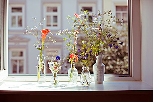 花,窗户