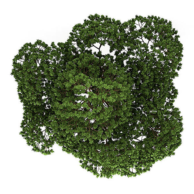 俯视,澳大利亚,树,隔绝_高清图片_全景视觉