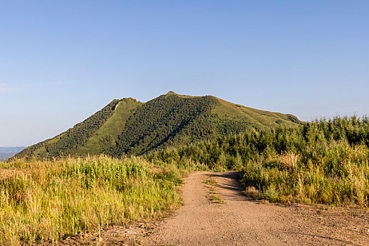 沽源县,草原天路风光