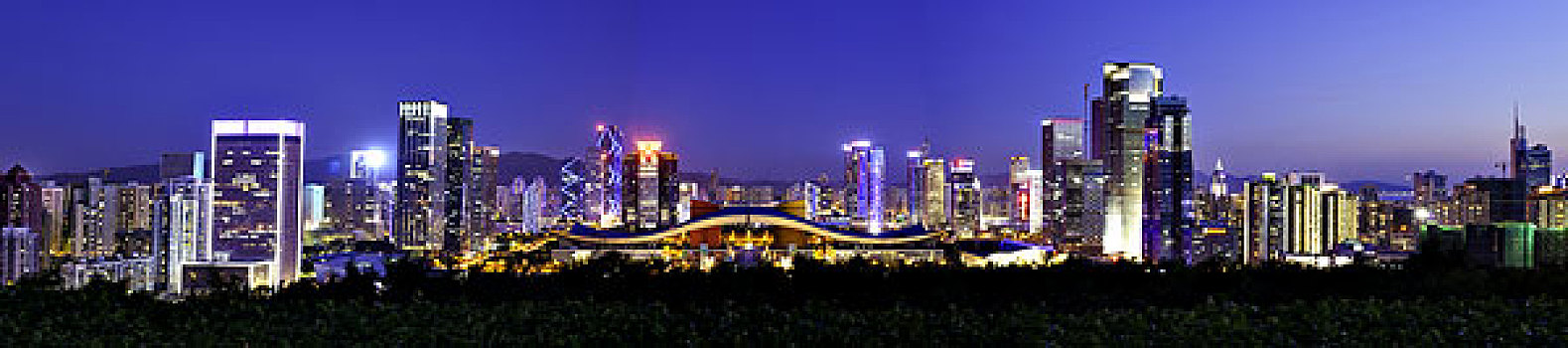 深圳市中心区之夜全景图