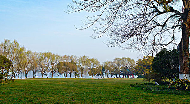 西湖十景,柳浪闻莺