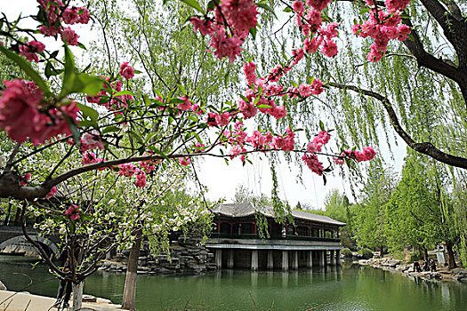 2016年4月11日北京西城区中山公园