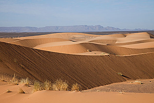 沙漠,沙丘,梅如卡