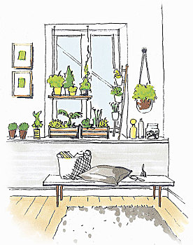 插画,窗,设计,架子,室内植物
