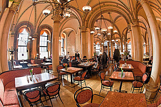 咖啡,中心,咖啡馆,维也纳,奥地利,欧洲