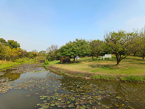 城市绿地,湿地公园