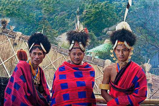 部族,男人,传统服装,犀鸟,节日,印度,亚洲