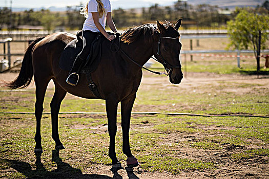 女孩,骑马,牧场,晴天