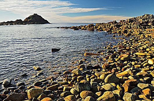 海滩,石头,国家公园,新南威尔士,澳大利亚