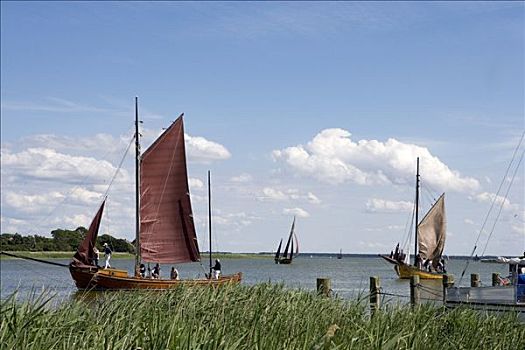 帆船,航行,波罗的海,梅克伦堡前波莫瑞州,德国,欧洲