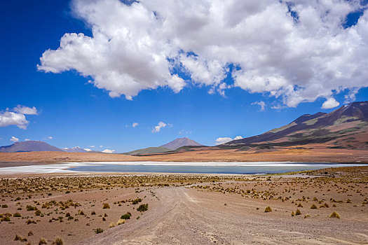 高原,泻湖,玻利维亚