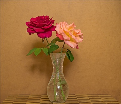 两个,玫瑰,花瓶,低劣,背景