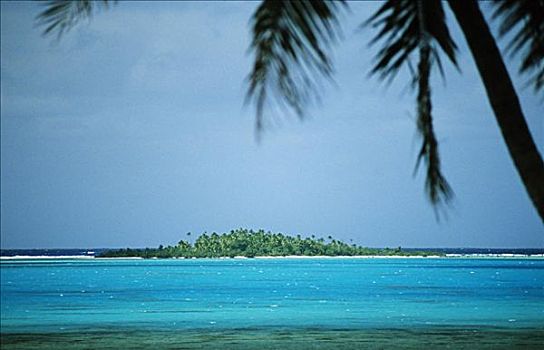 库克群岛,拉罗汤加岛,漂亮,沿岸,景色,框架,棕榈树