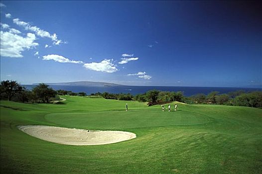 夏威夷,毛伊岛,高尔夫球场,人,玩,场地