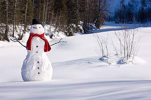 雪人,红色,围巾,黑色上衣,帽子,坐,靠近,积雪,河床,阿拉斯加,冬天
