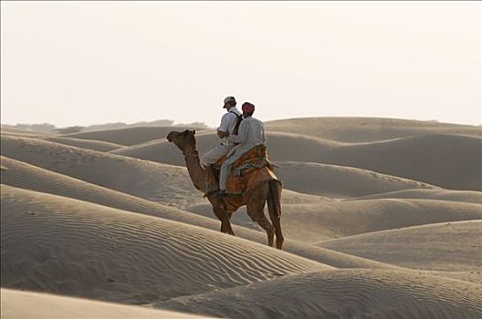 骆驼,骑手,沙丘,塔尔沙漠,拉贾斯坦邦,北印度,亚洲