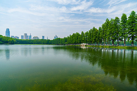 湖北武汉,东湖,风景区,夏日,风光