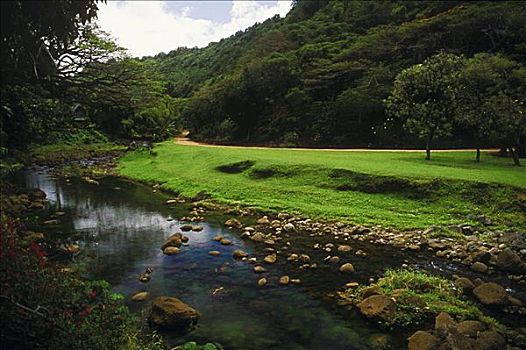 河流,飘动,树林,夏威夷,美国