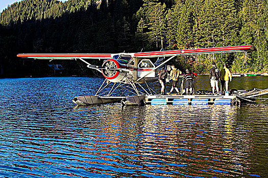 湖,加拿大,海狸,水上飞机